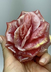 VELENIA FLEUR DE VIE ET DE PLAISIR